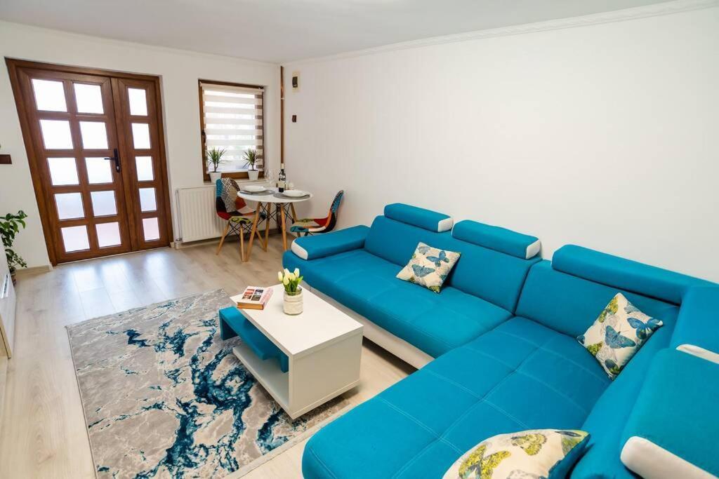 Villa Cozy House With Nice Garden In Heart Of City Center à Cluj-Napoca Extérieur photo
