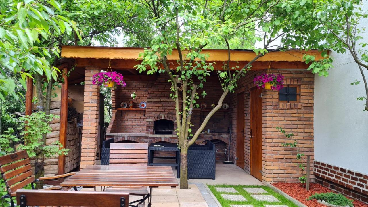 Villa Cozy House With Nice Garden In Heart Of City Center à Cluj-Napoca Extérieur photo